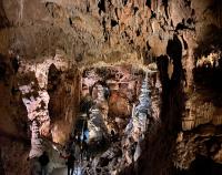 Javoříčské jeskyně