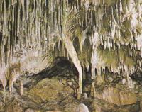 Jeskyně Balcarka (nedatováno)