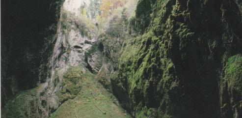 Dno propasti Macocha (2006)