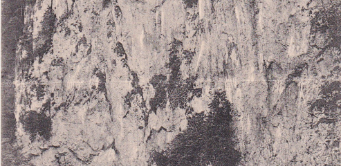 Mazocha  (nedatováno)